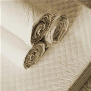 Çevre Dostu Eğitim Pedleri