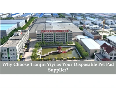 Tek Kullanımlık Evcil Hayvan Yastığı Tedarikçiniz Olarak Neden Tianjin Yiyi'y...