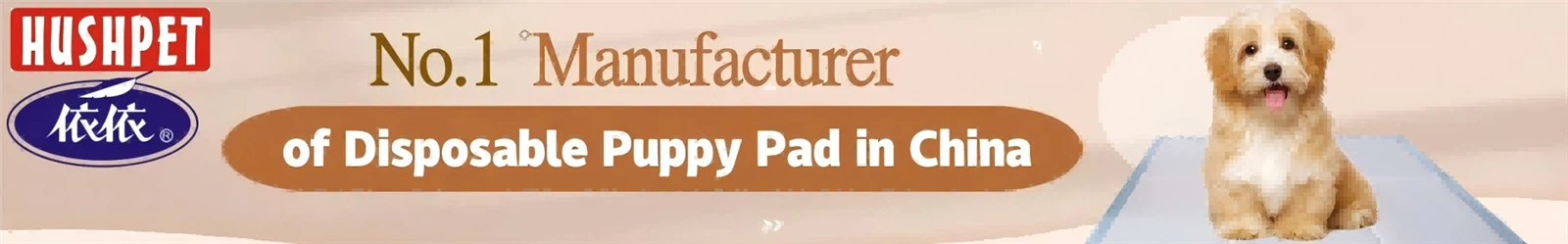 No1 -1920-3001 No1 -1920-3001