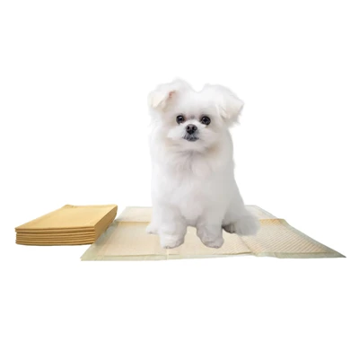 Bambu Doku Tek Kullanımlık Köpek Lazımlık Eğitim Pedleri