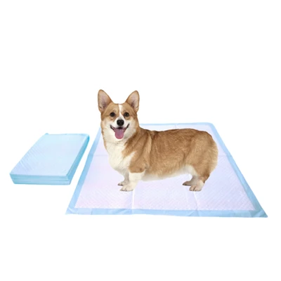 Köpekler İçin Çiğnemeye-Dayanıklı Tek Kullanımlık Çiş Pedleri