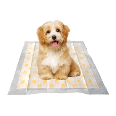 Sağlık İzleme Tek Kullanımlık PH Testi Köpek Tuvalet Pedleri