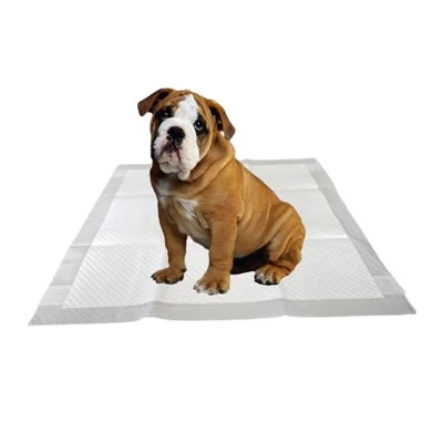 Hushpet Pet Tuvalet Eğitim Pedi