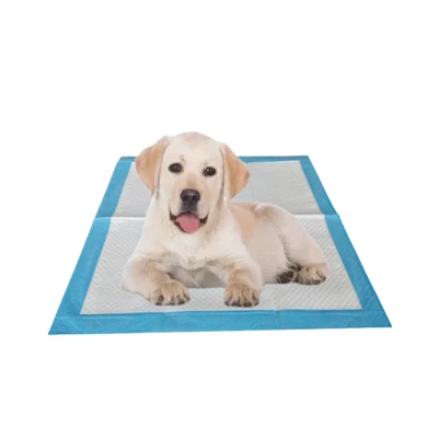 Köpekler İçin Vakum Sıkıştırılmış Tek Kullanımlık Tuvalet Eğitim Pedleri